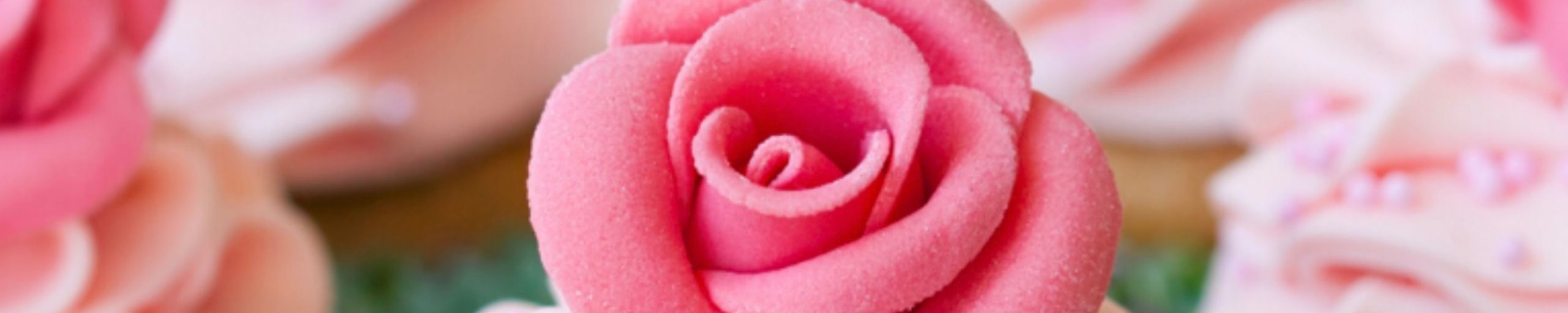 Diana van Dijken - Voedingspsycholoog