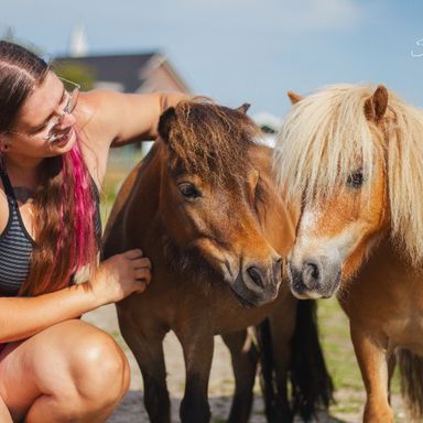 Samen Leren Over Paarden - Paard in Vrijheid